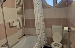 Apartament 1 camera, 55 mp, zona Centrala 