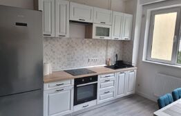 Apartament cu 2 camere, in zona Dambul Rotund 