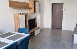 Apartament cu 2 camere, in zona Dambul Rotund 
