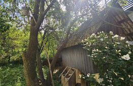 Casa individuala, 200 mp utili, 780 mp teren, zona TCI, Borhanci!