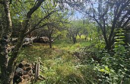 Casa individuala, 200 mp utili, 780 mp teren, zona TCI, Borhanci!