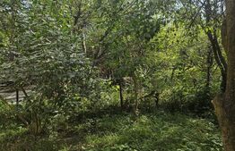 Casa individuala, 200 mp utili, 780 mp teren, zona TCI, Borhanci!