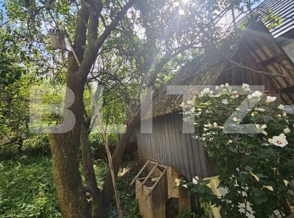 Casa de vânzare 4 camere Borhanci - 176051CV | BLITZ Cluj-Napoca | Poza17