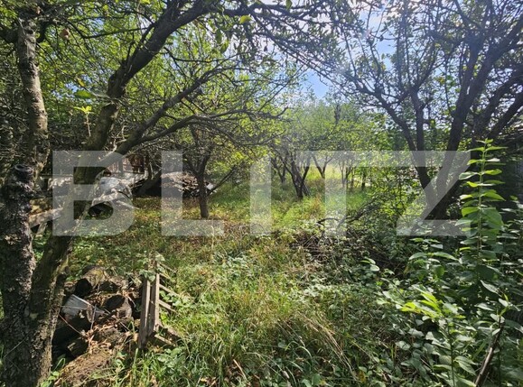 Casa de vânzare 4 camere Borhanci - 176051CV | BLITZ Cluj-Napoca | Poza6