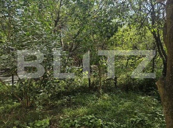 Casa de vânzare 4 camere Borhanci - 176051CV | BLITZ Cluj-Napoca | Poza18