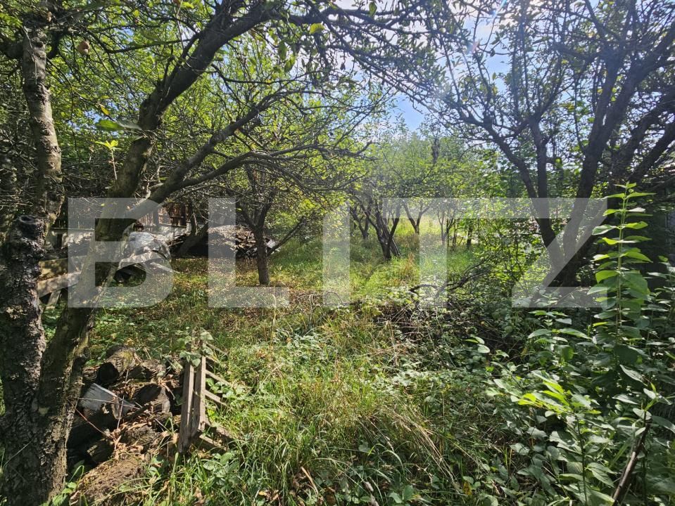 Casa de vânzare 4 camere Borhanci - 176051CV | BLITZ Cluj-Napoca | Poza6