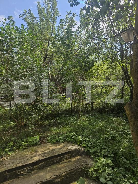 Casa de vânzare 4 camere Borhanci - 176051CV | BLITZ Cluj-Napoca | Poza18