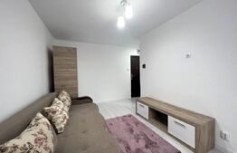 Garsoniera de vanzare la cheie, 22 mp, Calea Baciului 