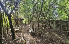 Teren 561 mp, cu casa demolabila, pentru dezvoltare imobiliara, duplex, Hasdeu!