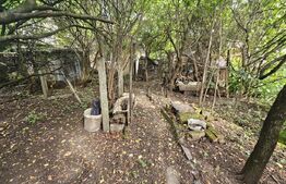 Casa demolabila, teren 561 mp, pentru dezvoltare imobiliara, duplex, Hasdeu!