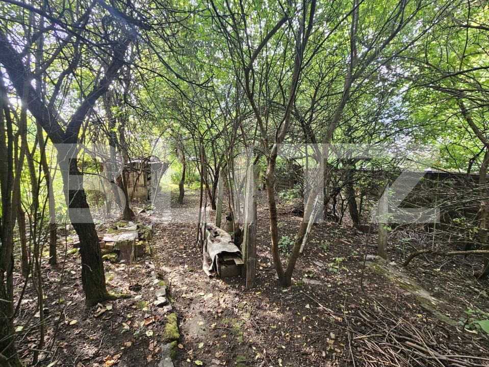 Casa de vânzare 4 camere Central - 176111CV | BLITZ Cluj-Napoca | Poza5