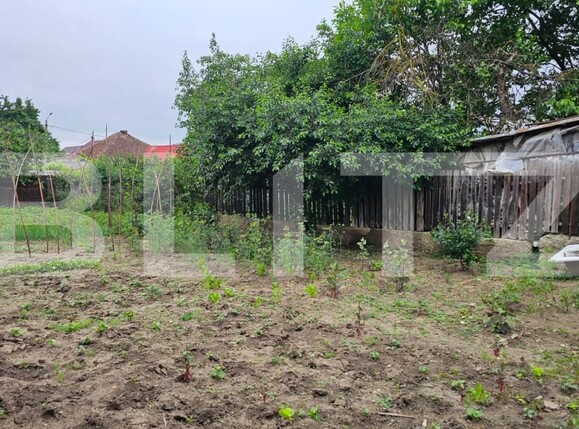 Casa de vânzare 3 camere Harman - 176133CV | BLITZ Brașov | Poza9