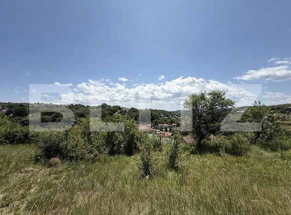 Teren de vânzare Feleacu - 176135TV | BLITZ Cluj-Napoca | Poza4