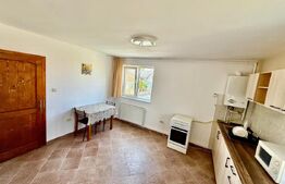 Apartament cu 1 camera, Someseni