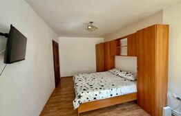 Apartament cu 1 camera, Someseni