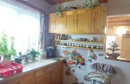 Casa individuala 5 camere, teren 2800 mp in Moldovenesti