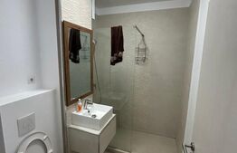 Studio 43 mp, Balcon, Nisa de Dormit, Parcul Feroviarilor, Semicentral