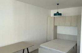 Studio 43 mp, Balcon, Nisa de Dormit, Parcul Feroviarilor, Semicentral