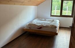 Cabana Valea Drăganului – 70 km de Cluj, 5 dormitoare, izvor în curte