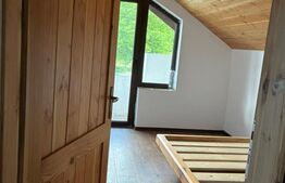 Cabana Valea Drăganului – 70 km de Cluj, 5 dormitoare, izvor în curte