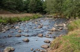 Cabana Valea Drăganului – 70 km de Cluj, 5 dormitoare, izvor în curte