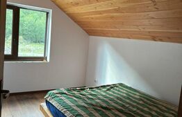 Cabana Valea Drăganului – 70 km de Cluj, 5 dormitoare, izvor în curte