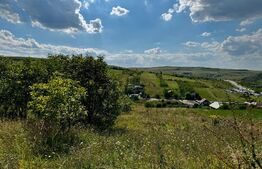 Teren de vânzare – 2.900 mp, Dezmir | Acces la două străzi, Comision 0