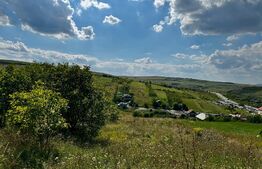 Teren de vânzare – 2.900 mp, Dezmir | Acces la două străzi, Comision 0