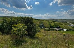 Teren de vânzare – 2.900 mp, Dezmir | Acces la două străzi, Comision 0