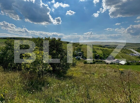 Teren de vânzare Dezmir - 176220TV | BLITZ Cluj-Napoca | Poza1