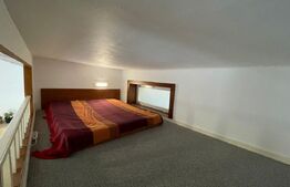 Garsoniera Spatioasa, Centru zona superba