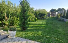 Spatiu comercial lux 190 mp, cu terasa si gradina Ghimbav