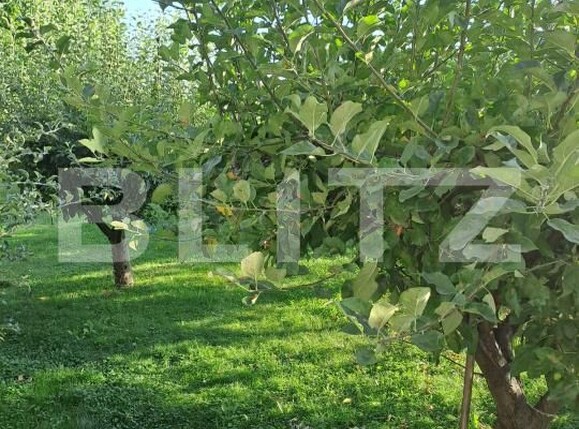 Spațiu comercial de vânzare Ghimbav - 176245SVC | BLITZ Brașov | Poza7