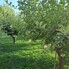 Spațiu comercial de vânzare Ghimbav - 176245SVC - Poza 1 din 16 | BLITZ Brașov | Poza6
