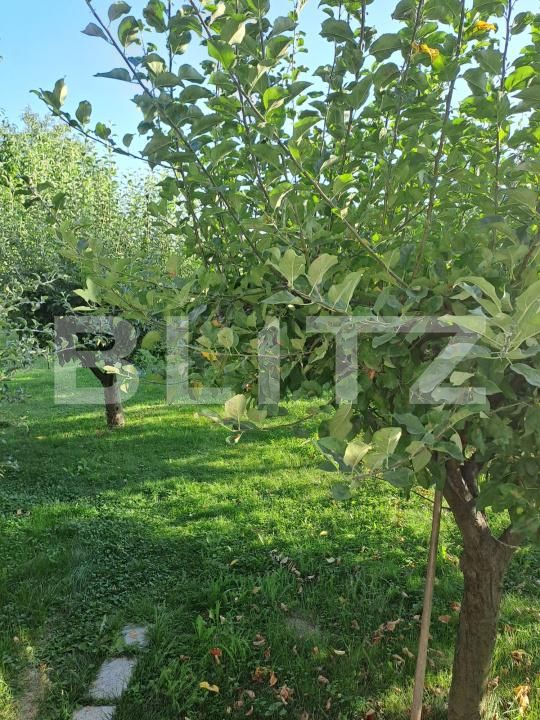 Spațiu comercial de vânzare Ghimbav - 176245SVC | BLITZ Brașov | Poza7
