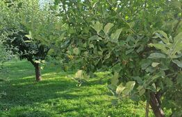 Apartament 2 camere lux, Air Bnb, Ghimbav