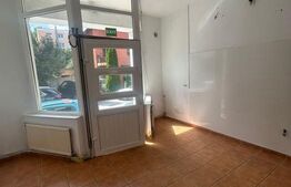 Spatiu comercial stradal