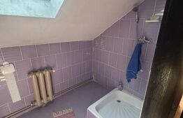 Casa saseasca Harman, ideala pentru o familie mare sau investitie 