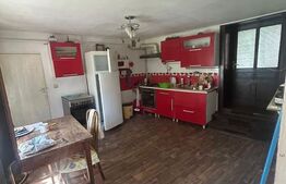 Casa saseasca Harman, ideala pentru o familie mare sau investitie 