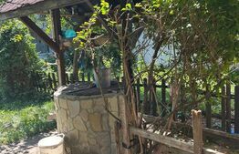 Casa saseasca Harman, ideala pentru o familie mare sau investitie 