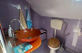 Casa saseasca Harman, ideala pentru o familie mare sau investitie 
