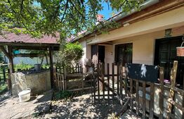Casa saseasca Harman, ideala pentru o familie mare sau investitie 