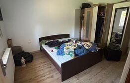 Casa saseasca Harman, ideala pentru o familie mare sau investitie 