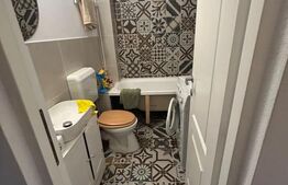 Casa saseasca Harman, ideala pentru o familie mare sau investitie 