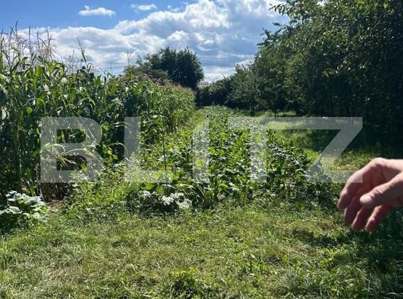 Casa de vânzare 10 camere Harman - 176316CV | BLITZ Brașov | Poza4