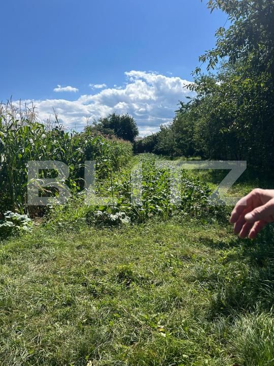 Casa de vânzare 10 camere Harman - 176316CV | BLITZ Brașov | Poza4