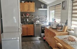 Oportunitate unica: locuința de vacanța cu 4 camere și curte generoasa