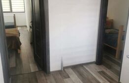 Oportunitate unica: locuința de vacanța cu 4 camere și curte generoasa