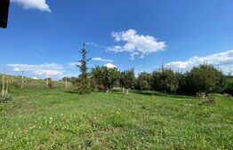 Casă spațioasă cu teren generos de 1600 mp, ideală pentru locuință sau investiți