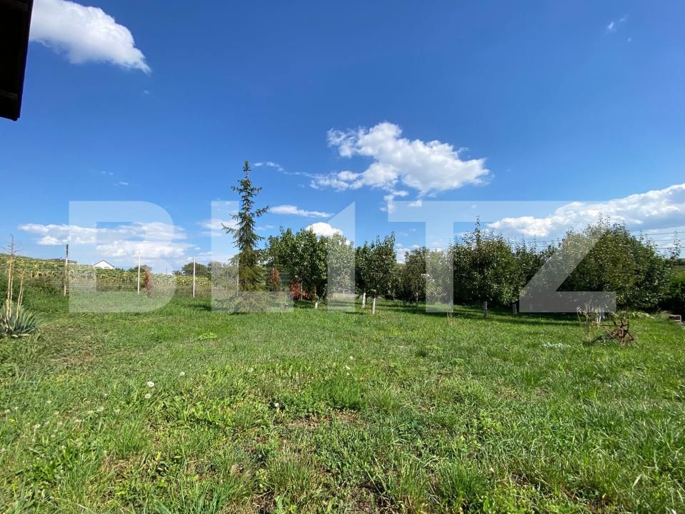 Casa de vânzare 5 camere Apahida - 176346CV | BLITZ Cluj-Napoca | Poza5